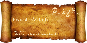 Prasch Ábris névjegykártya